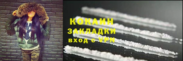 ешки Инсар