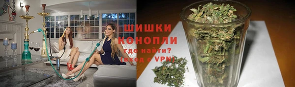 PSILOCYBIN Зеленодольск