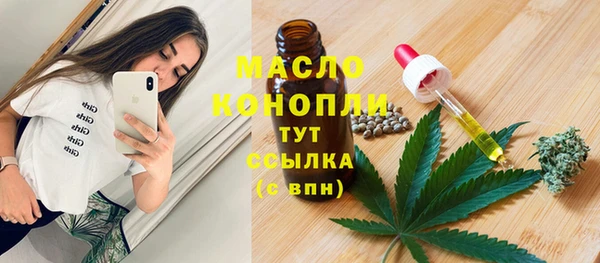 ешки Инсар