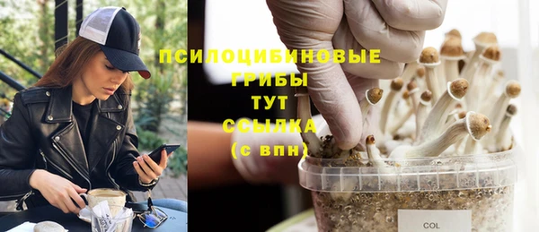 трава Зеленокумск