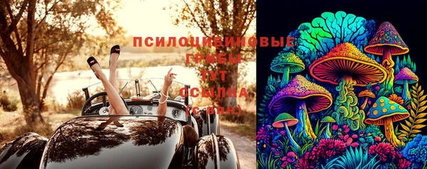 мескалин Инта